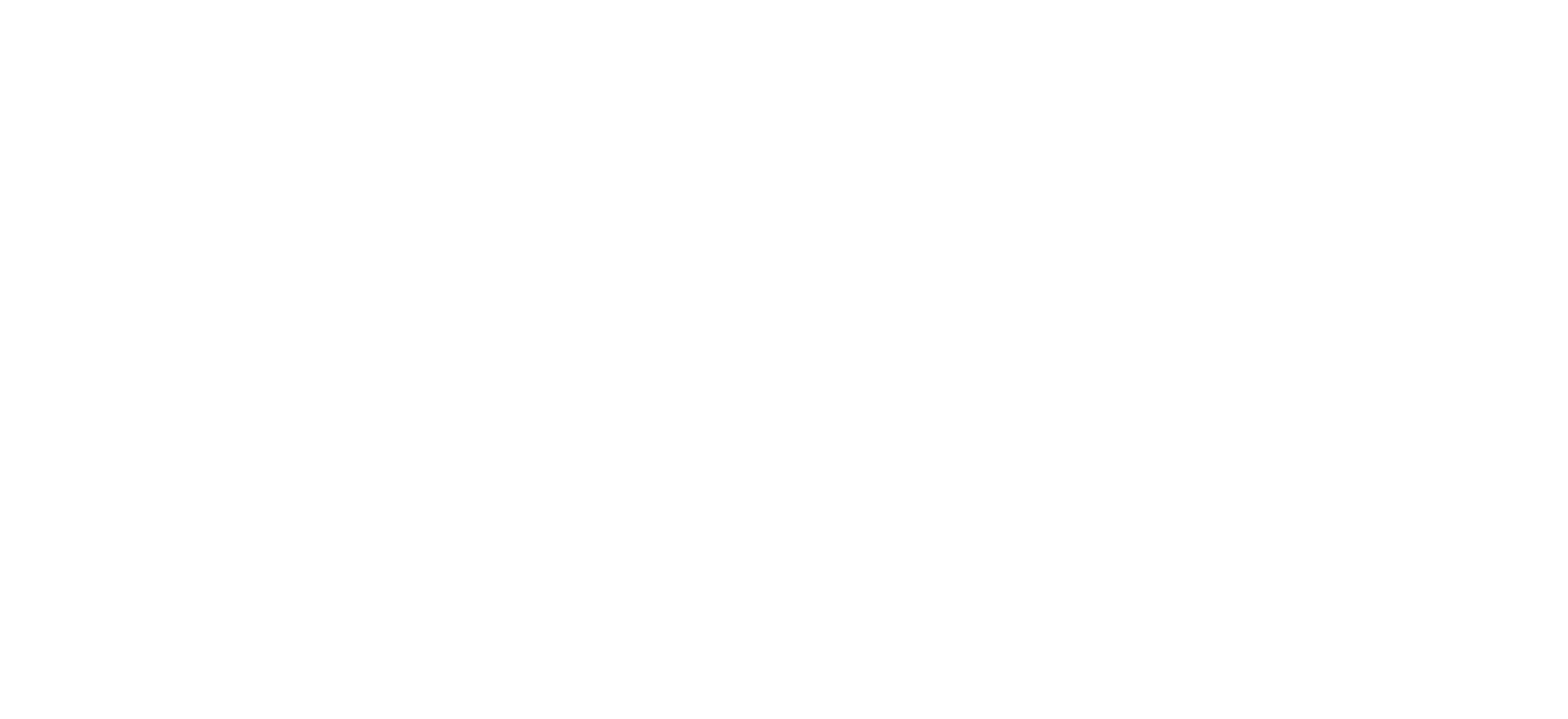 Visegrad Fund Logo